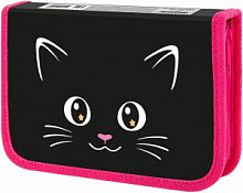 ПЕНАЛ ПИФАГОР 1 отд. ламинированный картон 19х11 см Dark kitten 273467